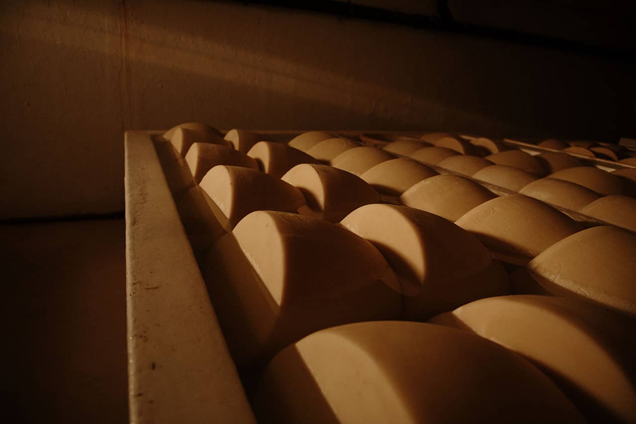 stagionatura parmigiano reggiano